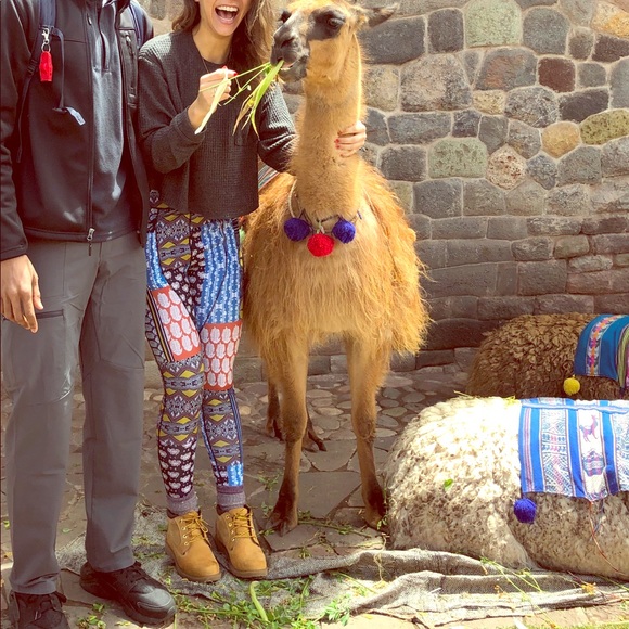 ALOHA from your Posher, SHILOH - Picture 8 of 9